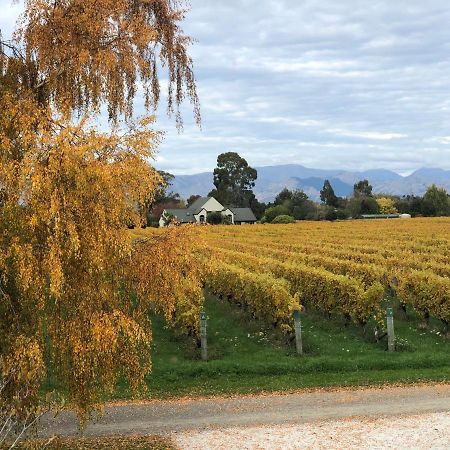 Vineyard Cottage In Blenheim On The Golden Mile Екстериор снимка