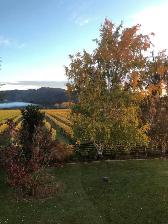 Vineyard Cottage In Blenheim On The Golden Mile Екстериор снимка